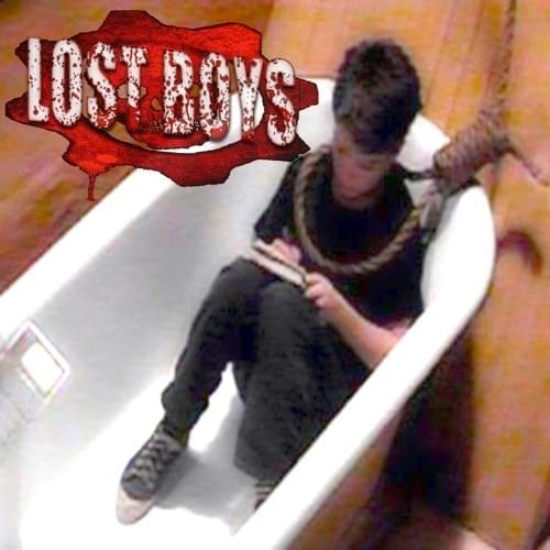 Cover image for *LOST BOYS*