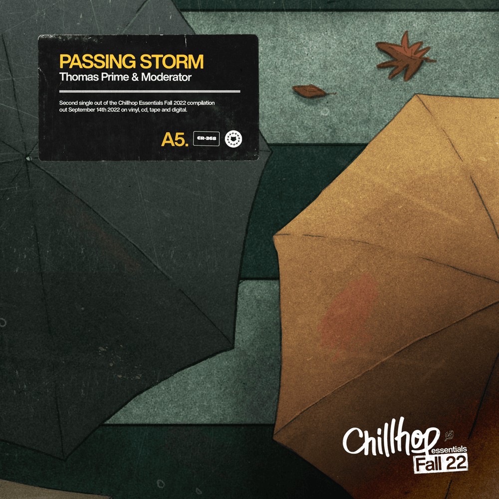 Album cover art for "Passing Storm" by Thomas Prime