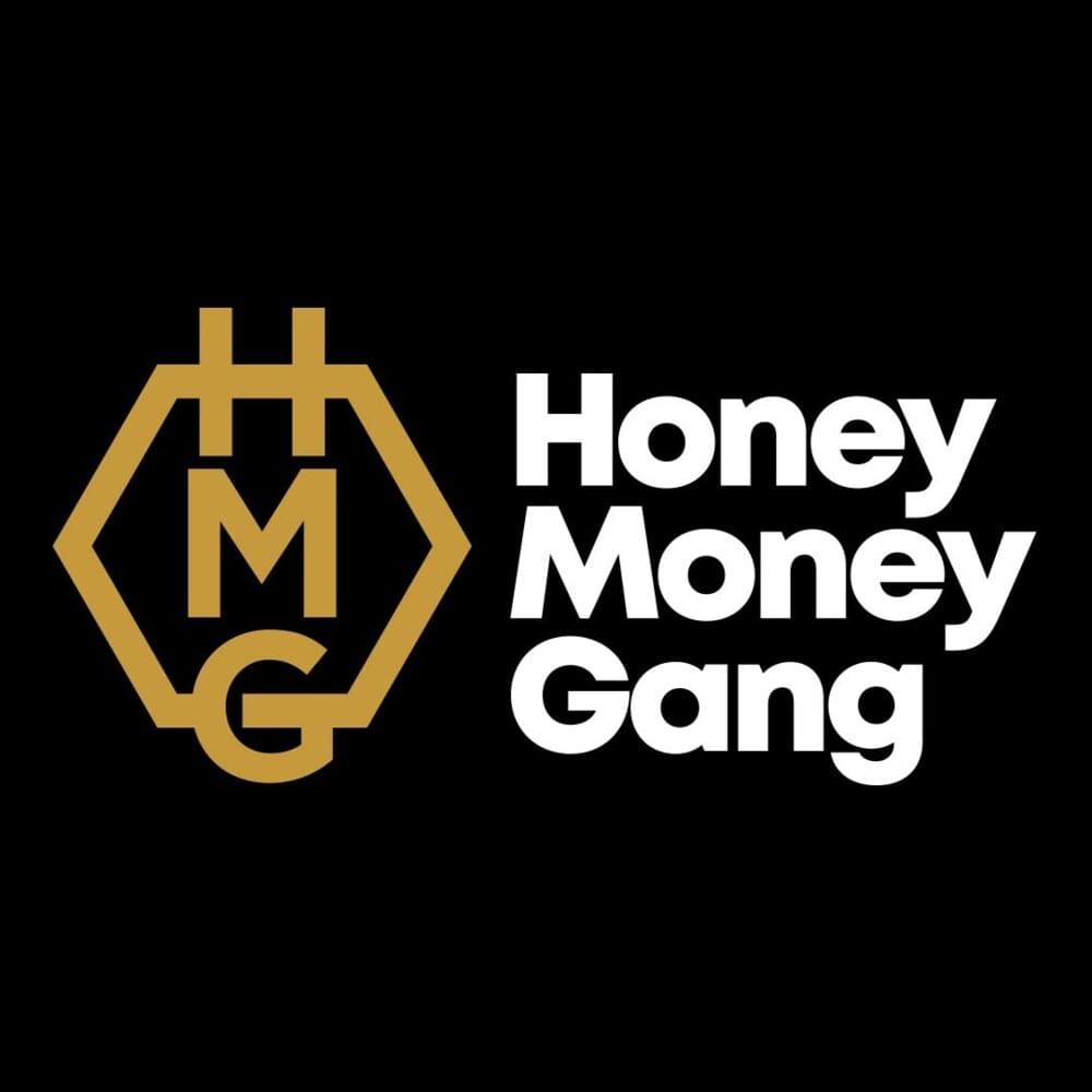 Cover image for Honey Money Gang