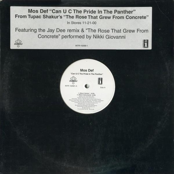 Cover image for Can U C The Pride In The Panther