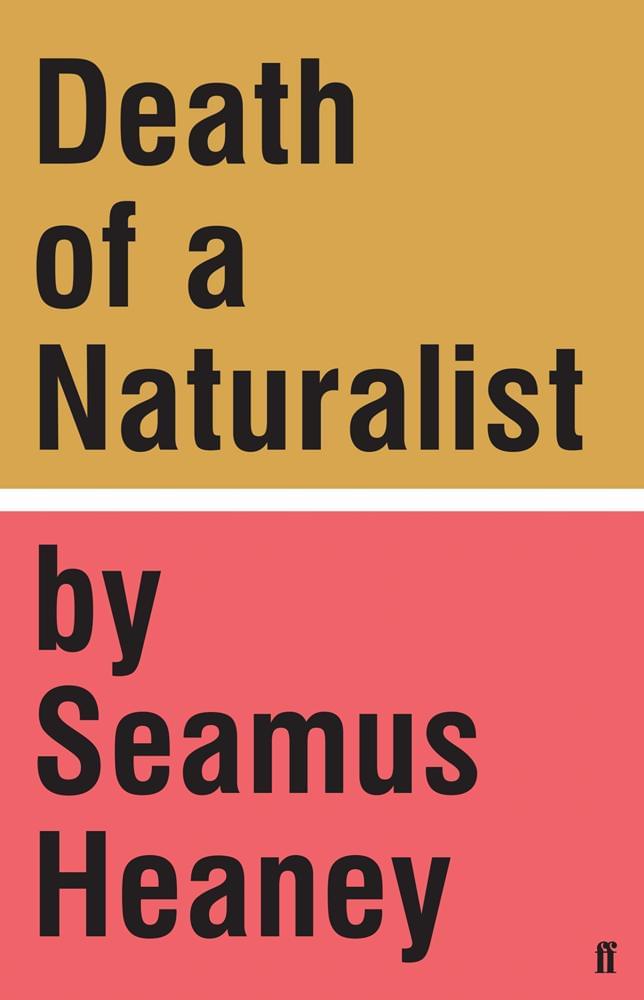 Storm on the Island by Seamus Heaney