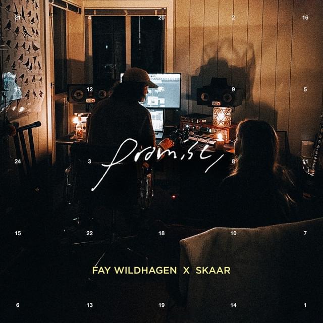 Album cover art for "Promise," by Fay Wildhagen