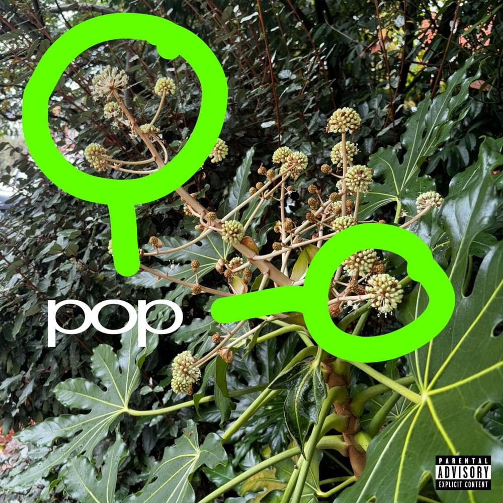 pop by skaiwater