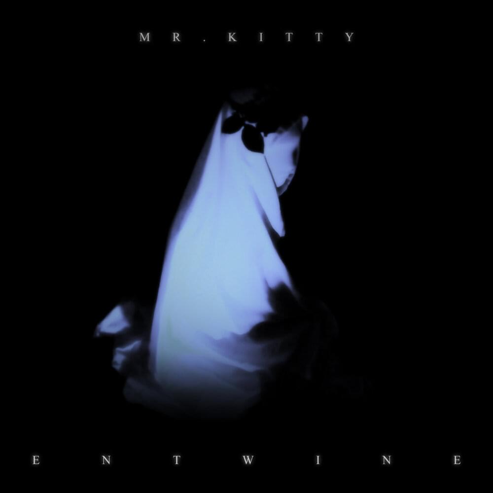 Album cover art for "Entwine" by Mr.Kitty