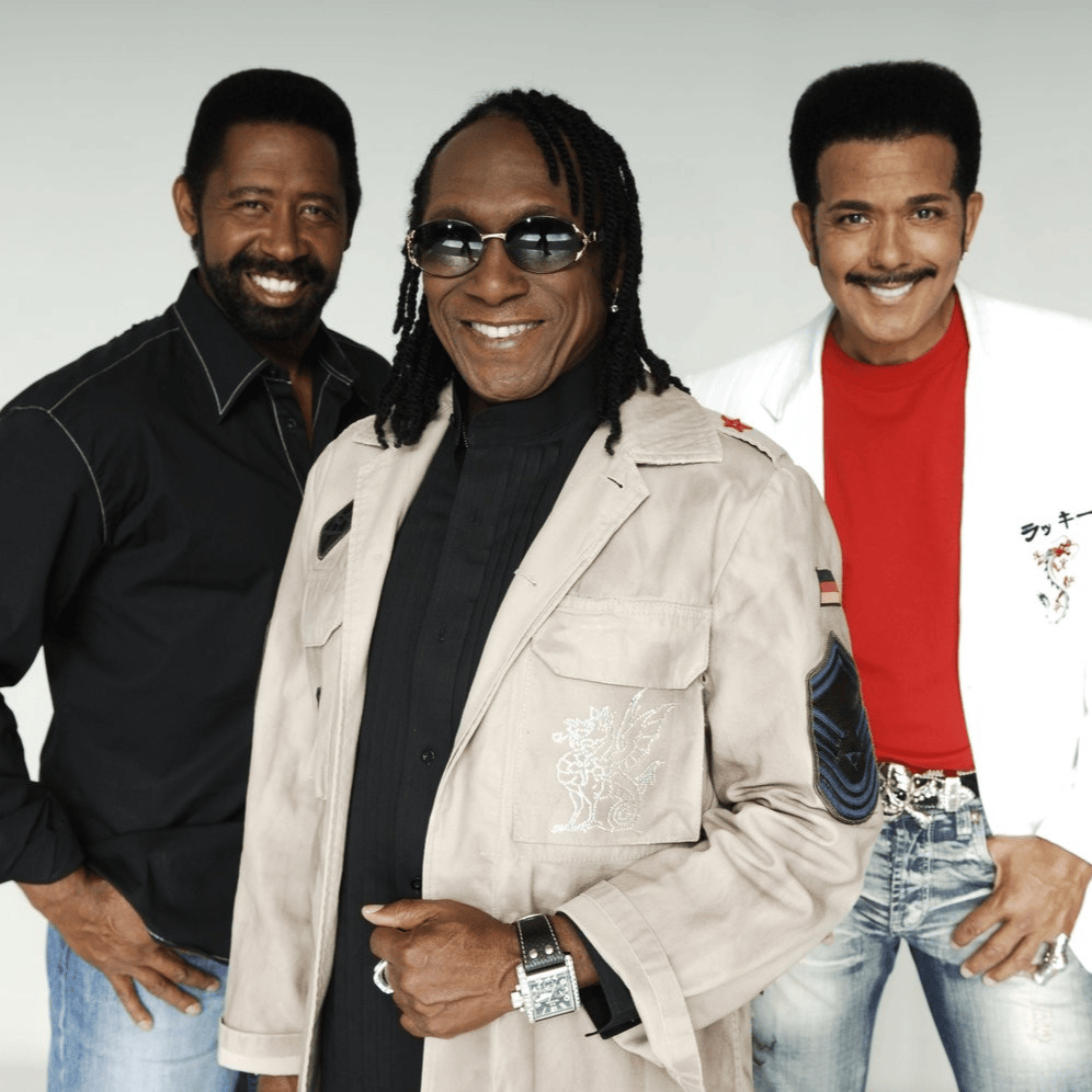 Cover image for Commodores