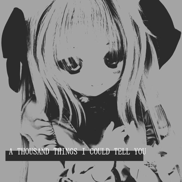 Cover image for A Thousand Things I Could Tell You