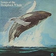 Three Whale Trip by No Artist