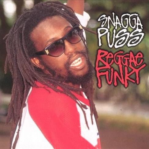 Cover image for Reggae Funky