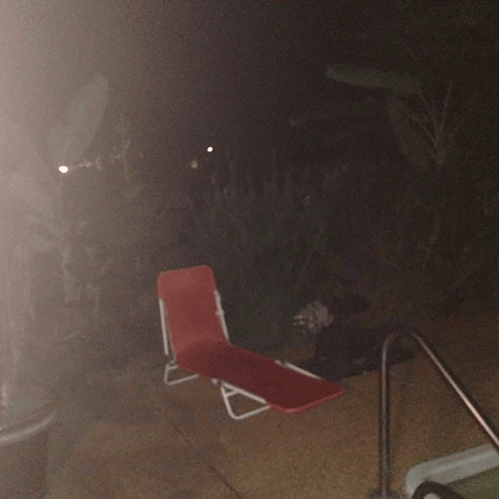 Cover image for Sitting Wulf