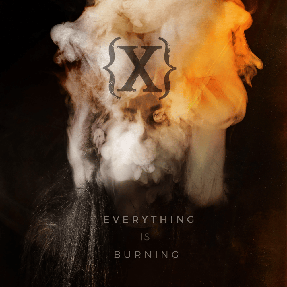 Cover image for Everything Is Burning (Metanoia Addendum)