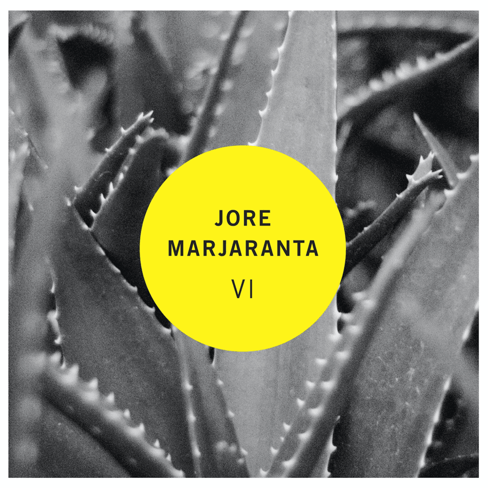 Cover image for VI