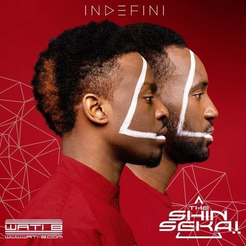 Album cover art for "Normal" by The Shin Sekaï