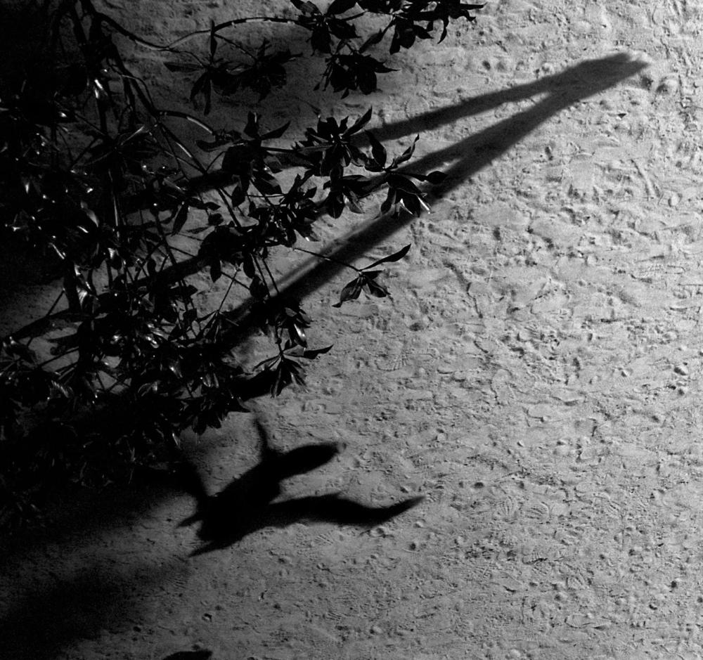The Blue Notebooks by Max Richter