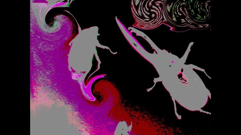 Album cover art for "No Buggy Knew (Frogs Flew Through The Stars)" by J.P. Cappiello
