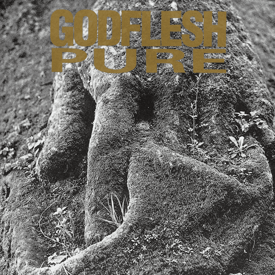 Album cover art for "Mothra" by Godflesh