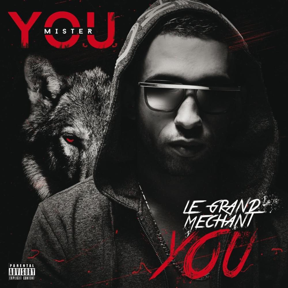 Cover image for Le grand Méchant You