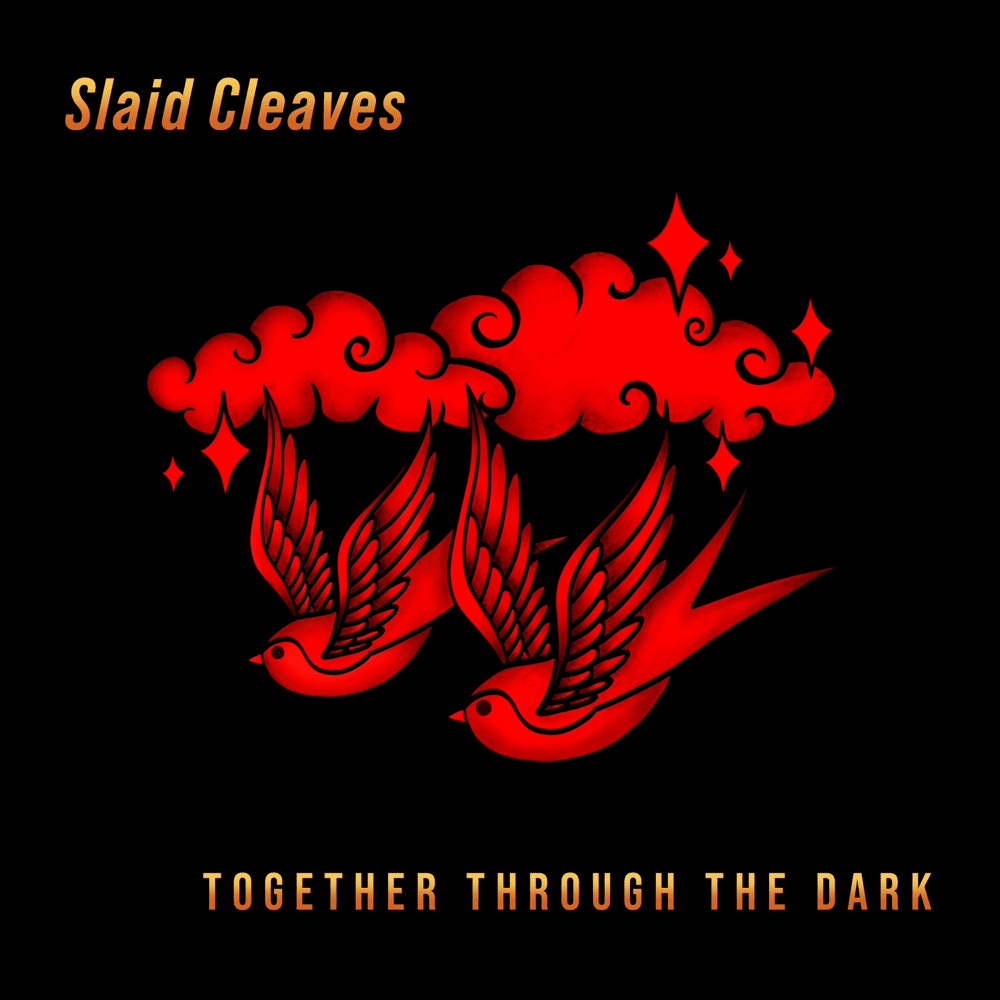 Make Your Own Light by Slaid Cleaves