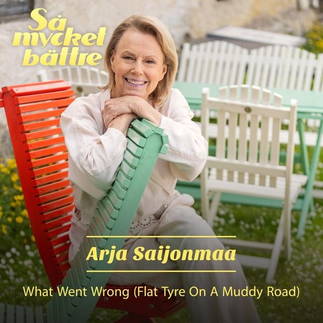 What Went Wrong (Flat Tyre on a Muddy Road) by Arja Saijonmaa