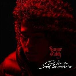 Tout s’en va sauf les souvenirs by Savage Toddy