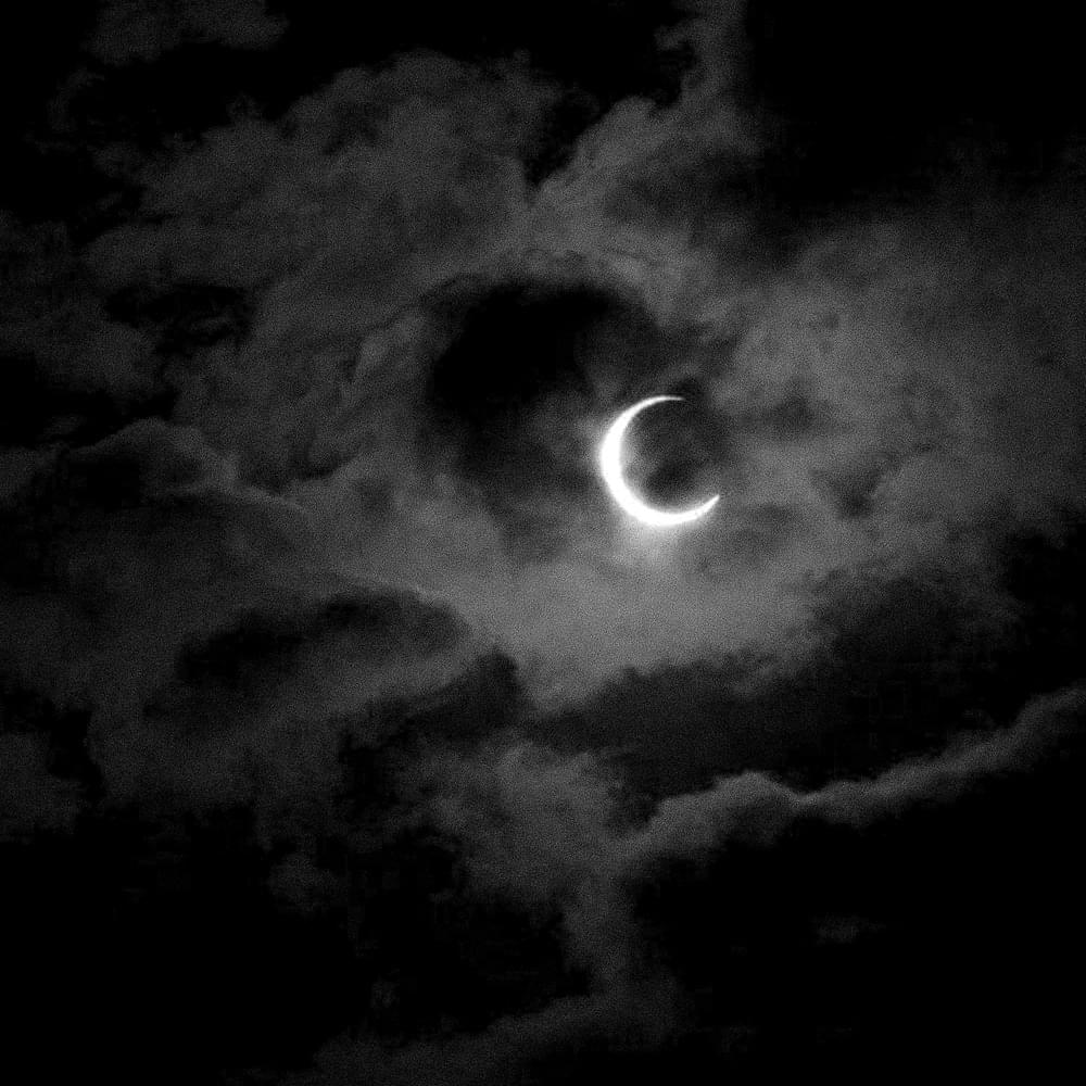 Album cover art for "Don" by Stu26