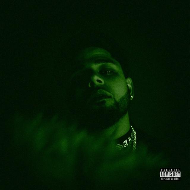 Album cover art for "Jungle (Ride With Me)" by Rohan
