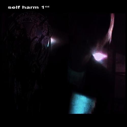 Album cover art for "self harm 1oz" by ego mackey