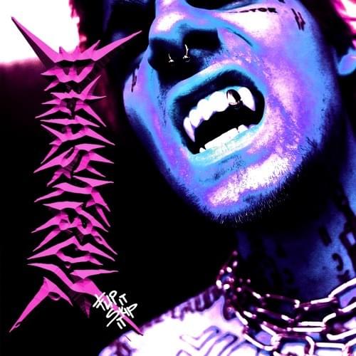 Album cover art for "FLiP iT/SKiP iT" by TJ_beastboy