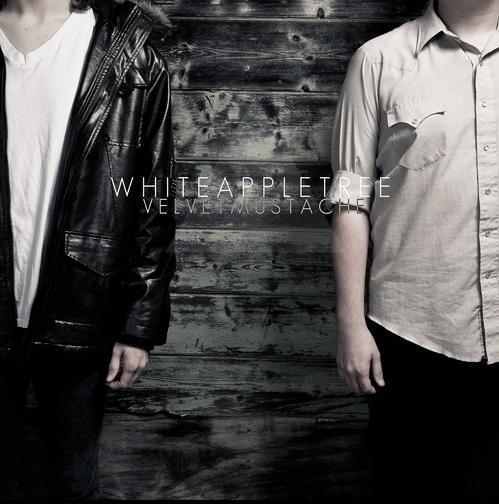 Snowflakes by White Apple Tree