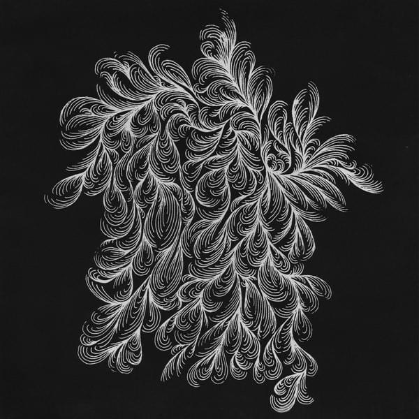 Album cover art for "Sammy" by Xiu Xiu