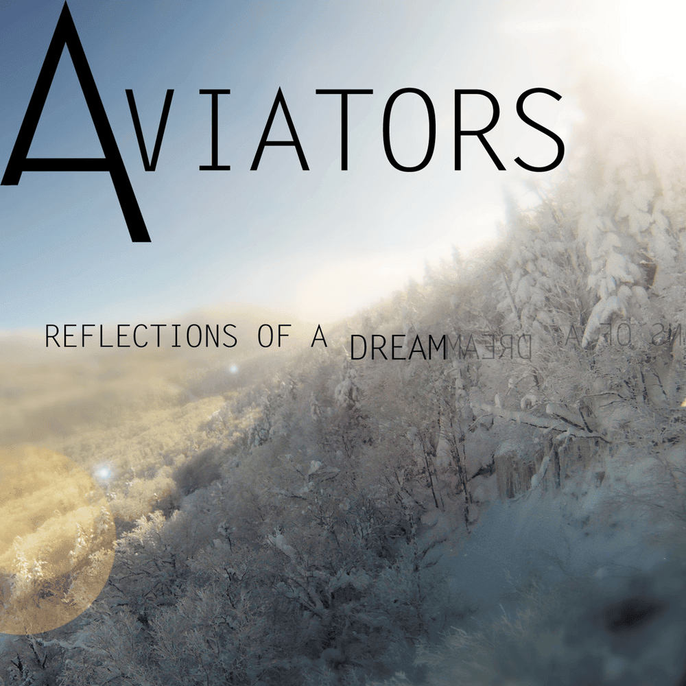 Cover image for Reflections of a Dream