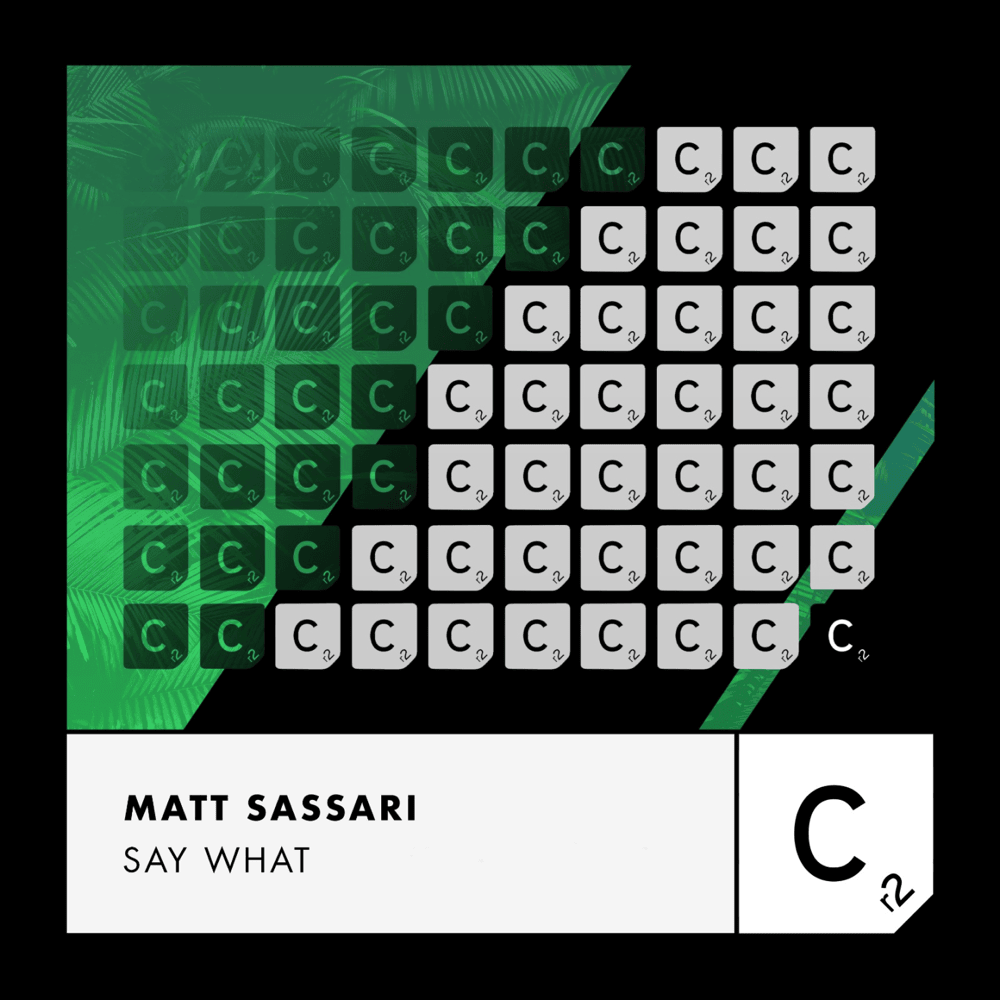 Say What (Extended Mix) by Matt Sassari