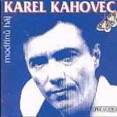 Cover image for Modřínů háj