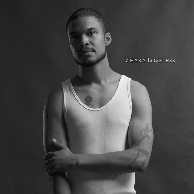 Hvad Kan Vi Bruge Det Til by Shaka Loveless