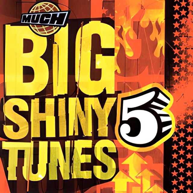 Cover image for Big Shiny Tunes 5