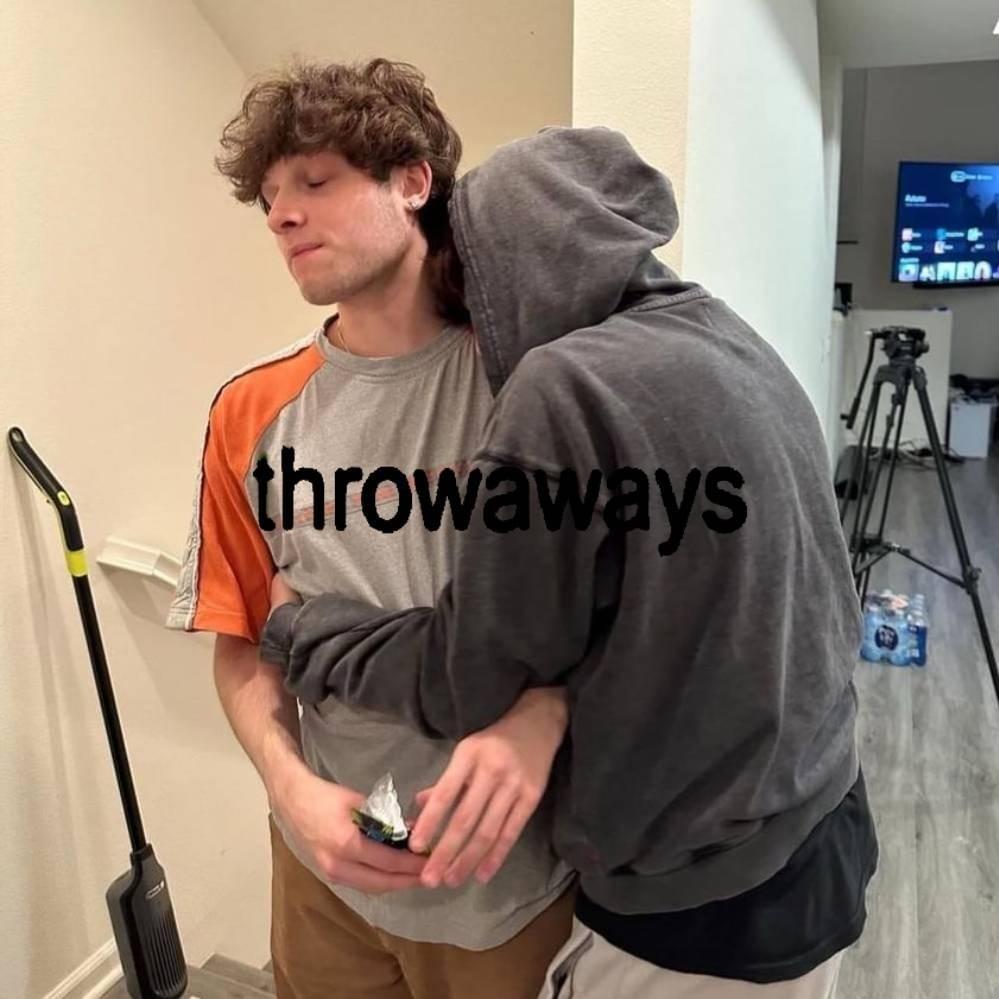 Cover image for throwaways