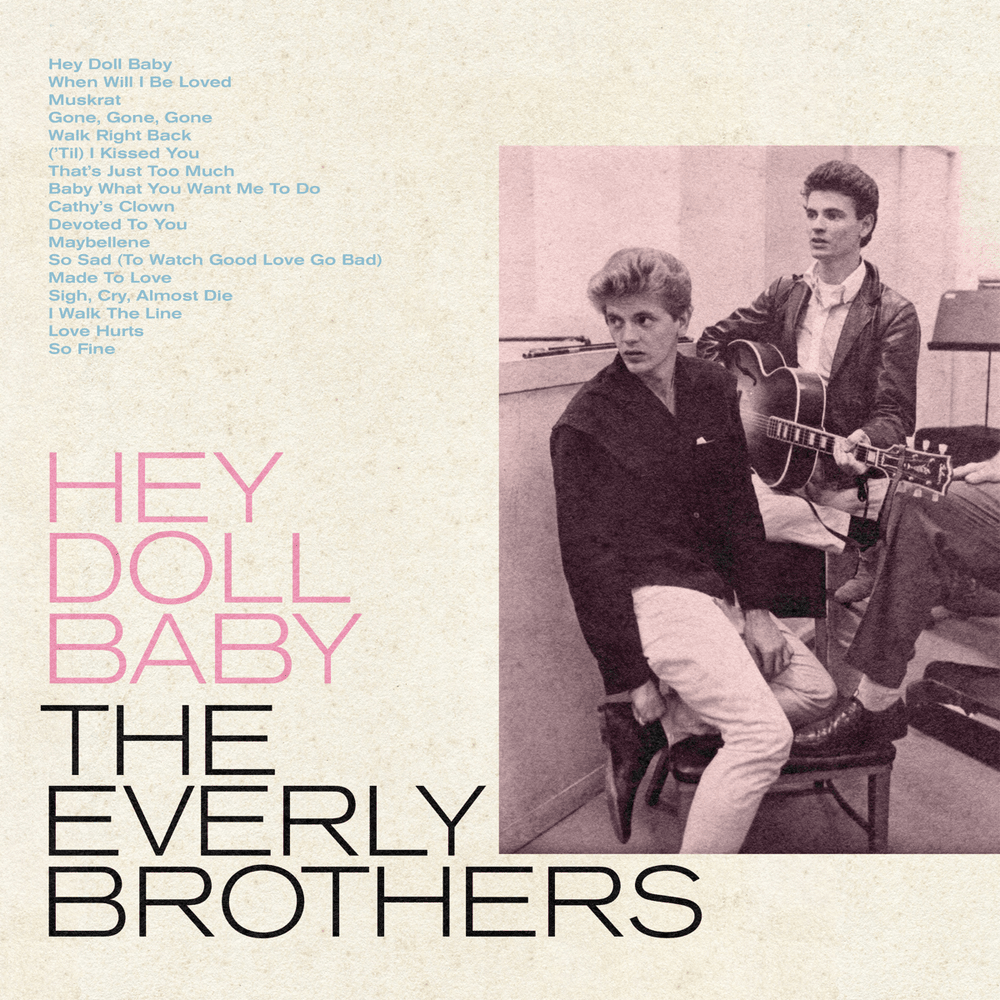 Cover image for Hey Doll Baby
