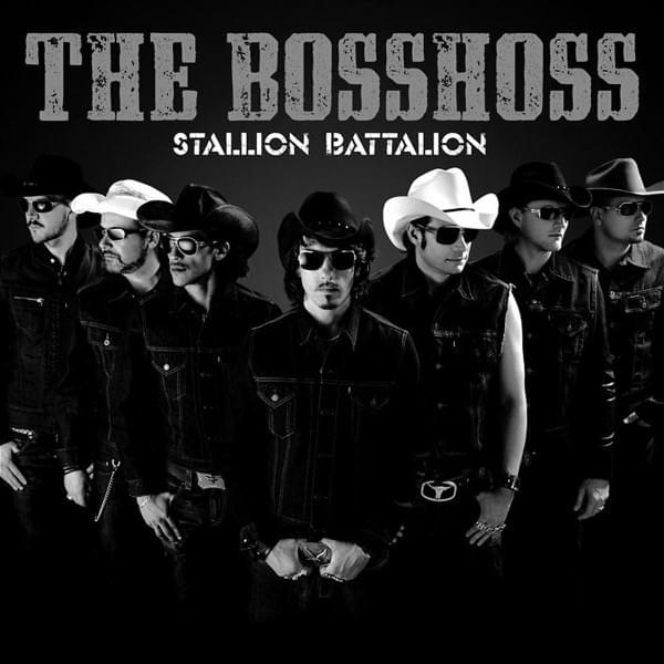 Cover image for Stallion Battalion