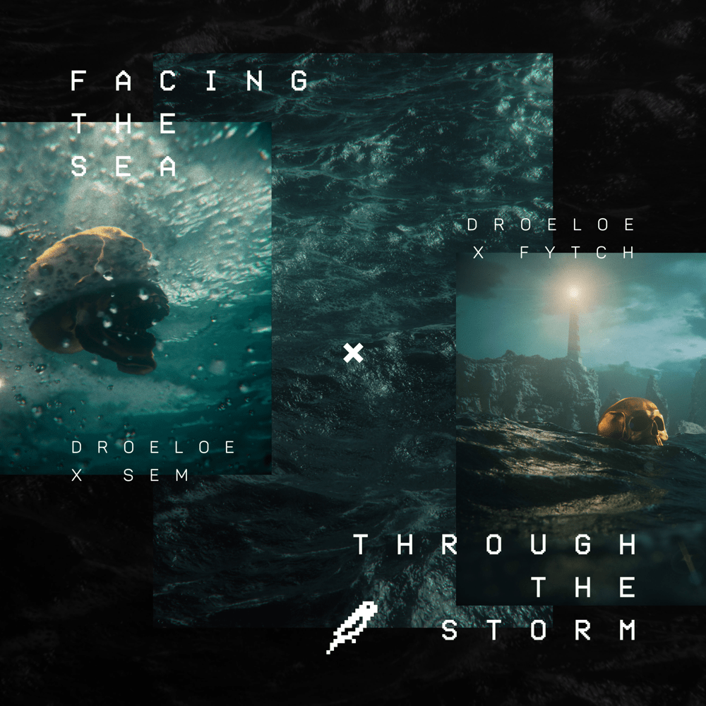 Cover image for Facing the Sea / Through the Storm