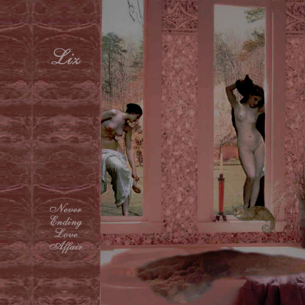 Cover image for Never Ending Love Affair