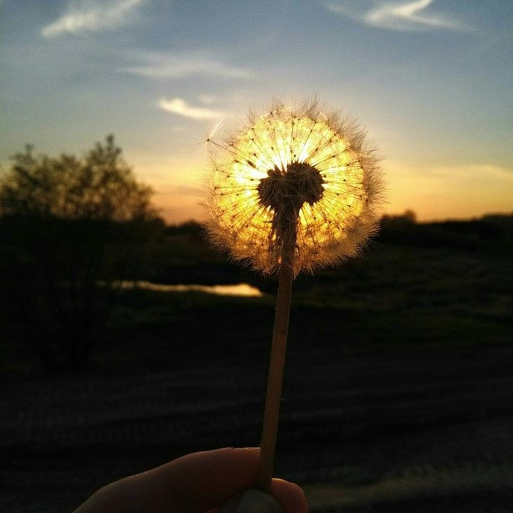 Album cover art for "Guíame" by Stu26