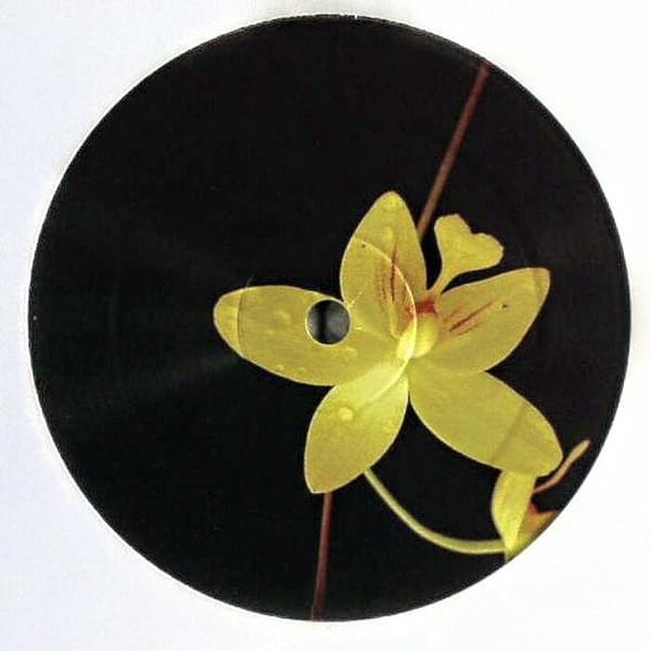 Dust (Rocque Wun Mix) by Recloose