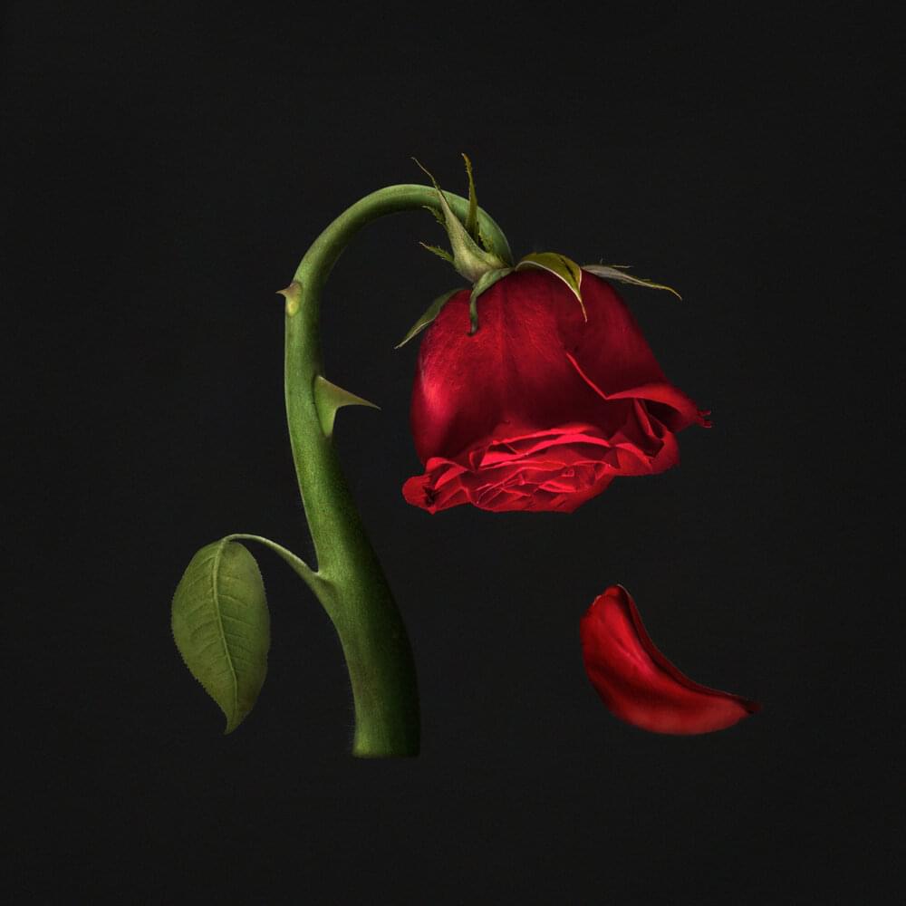Album cover art for "How You Been" by Holy Holy