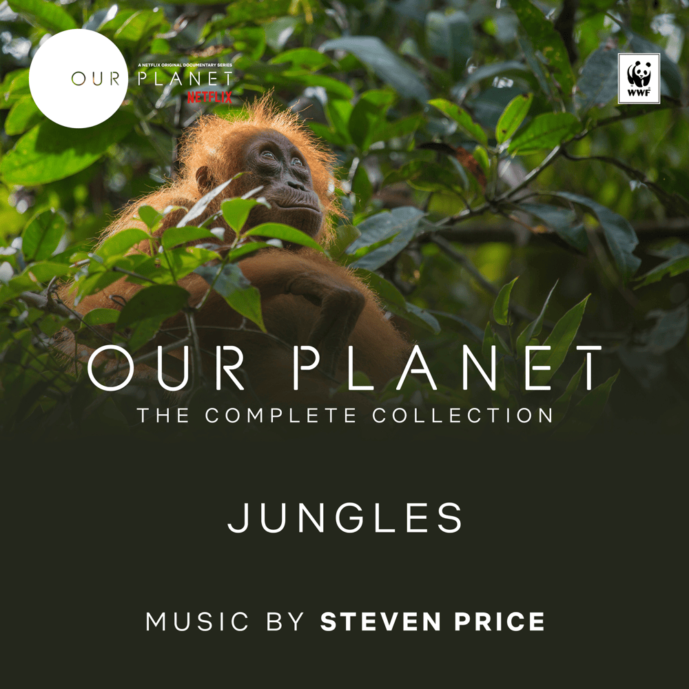 Cover image for Jungles (Episode 3 / Soundtrack From The Netflix Original Series ”Our Planet”)