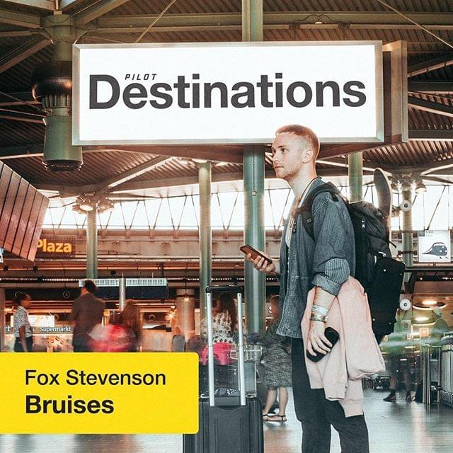 Bruises by Fox Stevenson