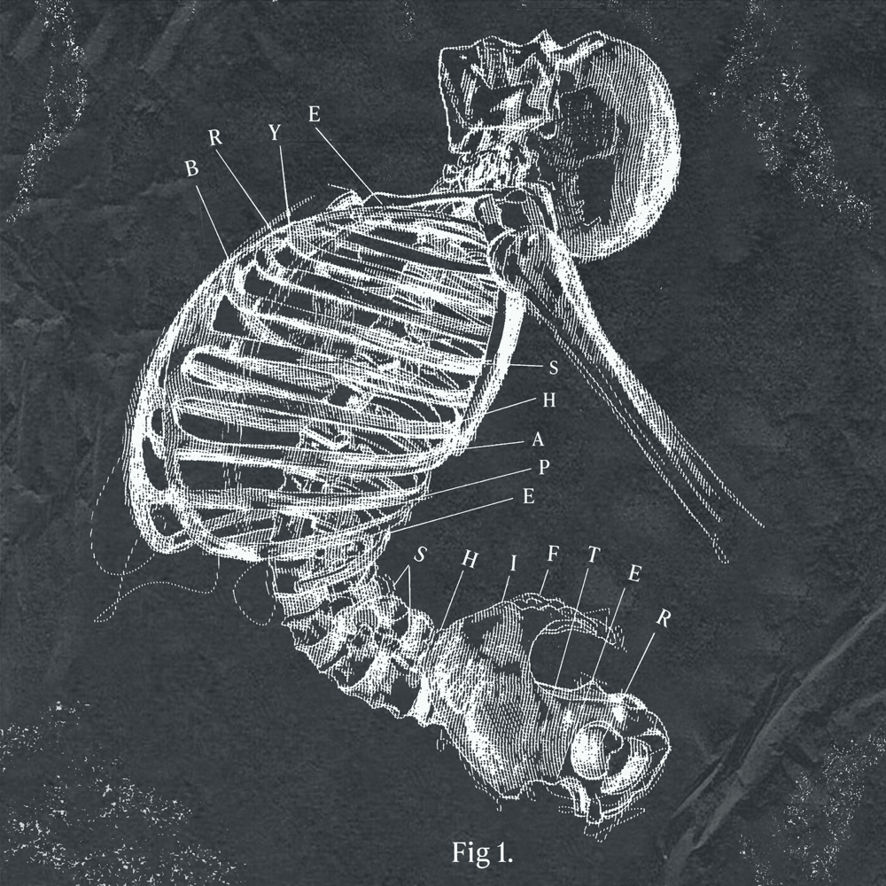 Album cover art for "Shapeshifter" by Brye