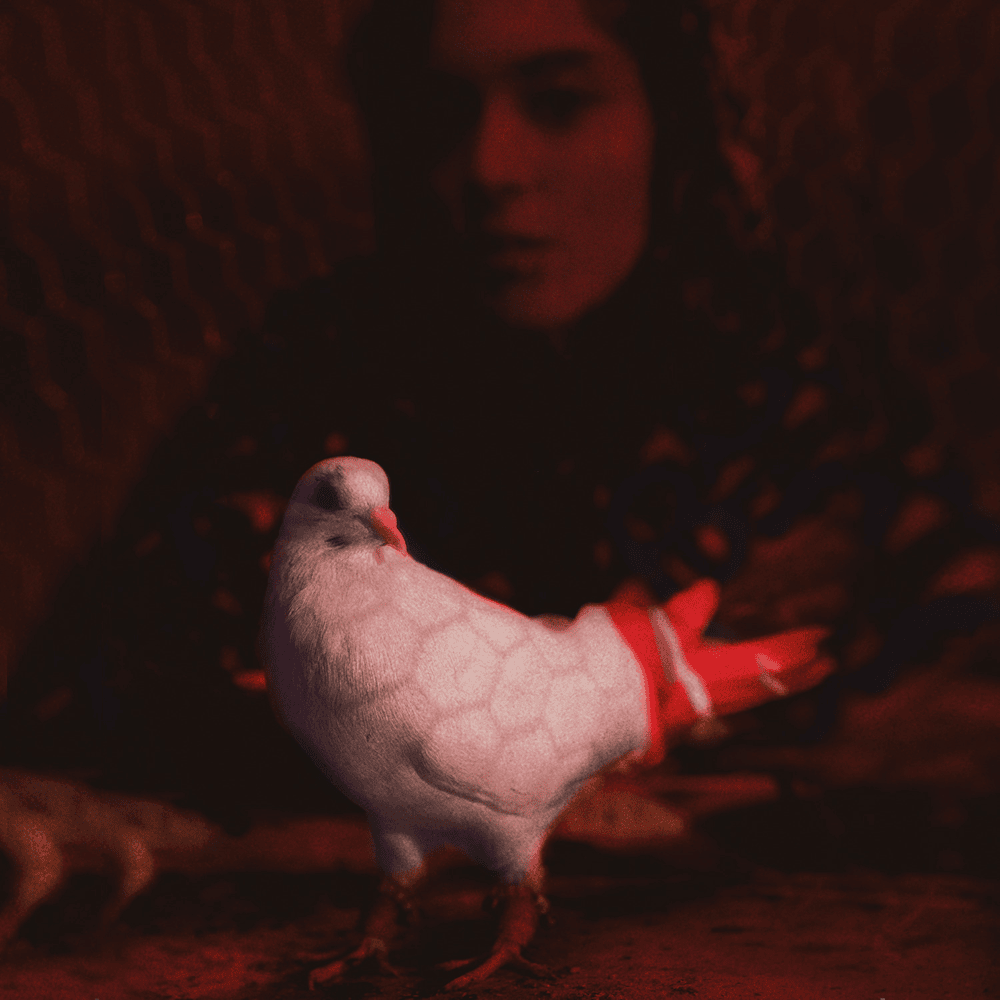 Cover image for Zor - Single