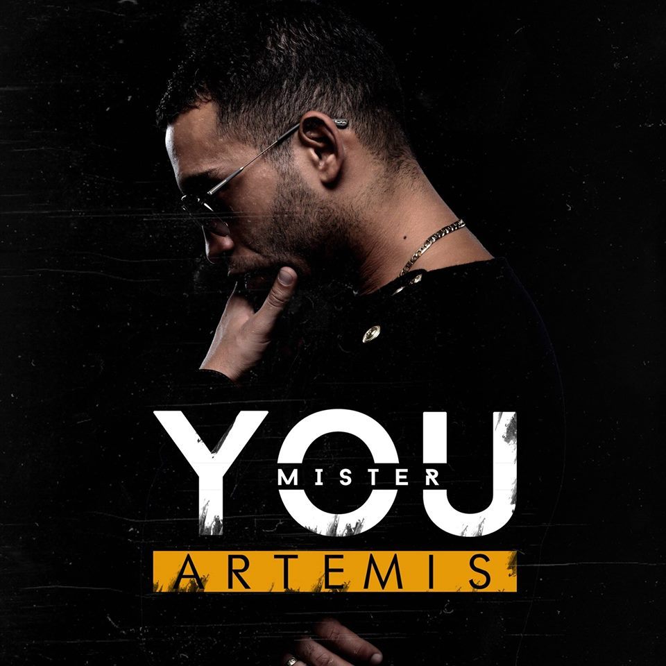Album cover art for "Artemis" by Mister You