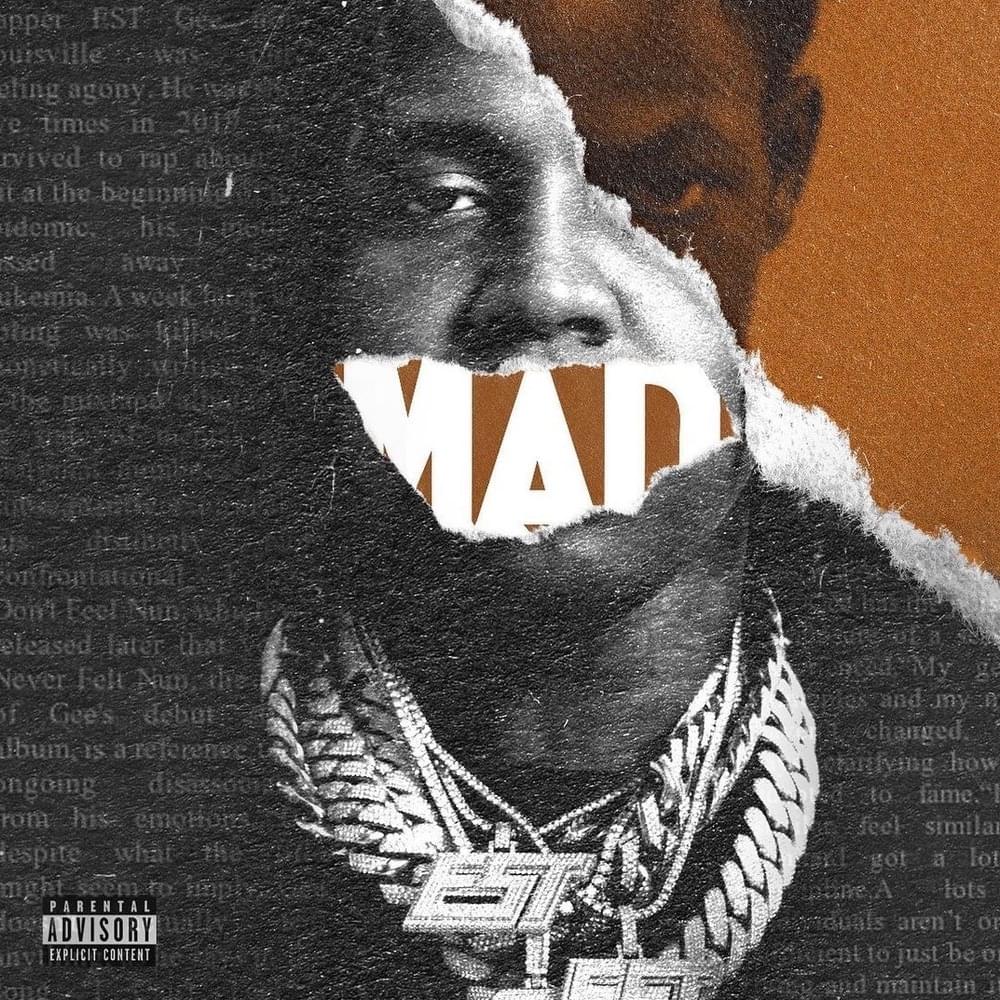 Cover image for MAD