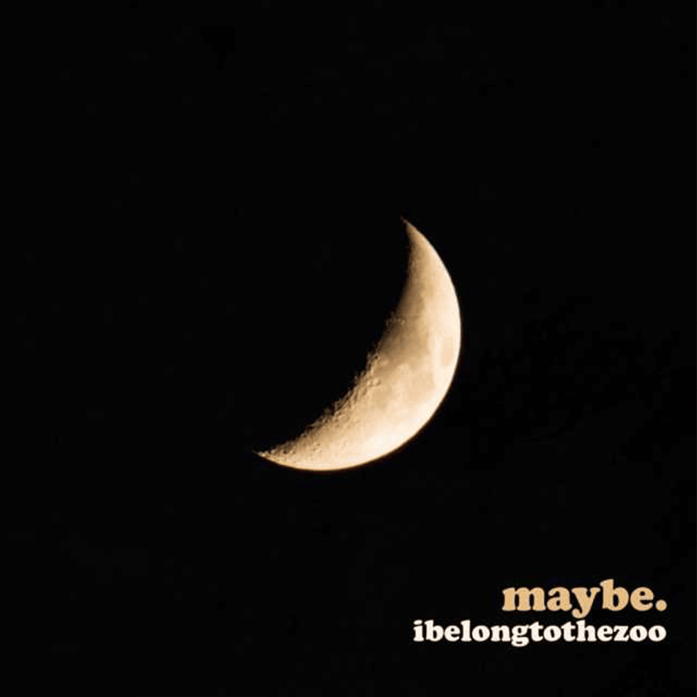 Album cover art for "Maybe" by I Belong to the Zoo