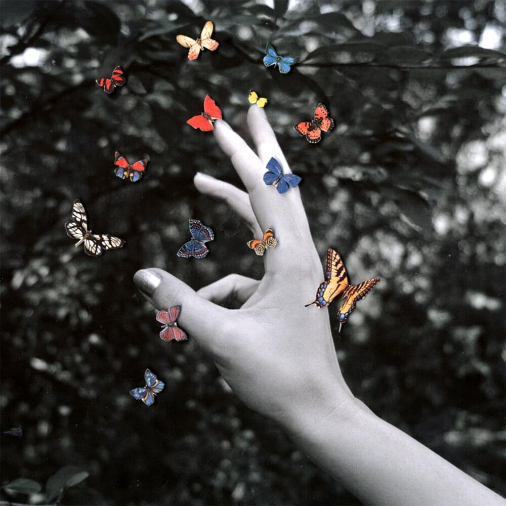 Album cover art for "Cellophane (Brain)" by Middle Kids